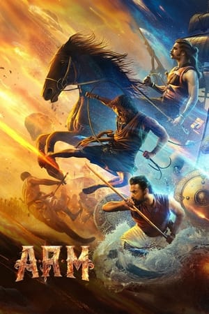 ARM 2024 Kannada V2 1080p CAMRip