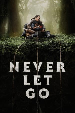 Never Let Go 2024 English V2 1080p CAMRip