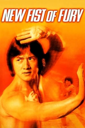 New Fists of Fury 1976 Dual Audio Hindi 480p BluRay 360MB