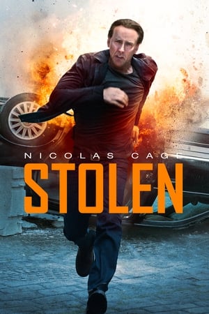 Stolen (2012) Hindi Dual Audio 480p BluRay 300MB ESubs