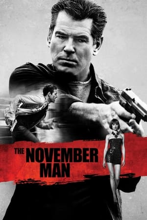 The November Man 2014 Dual Audio [Hindi - English] 720p BluRay [1.1GB]