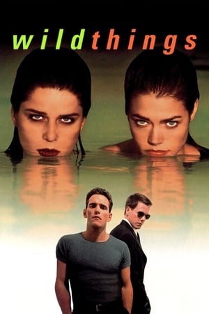 Wild Things (1998) 100mb Hindi Dual Audio Hevc BRRip Download